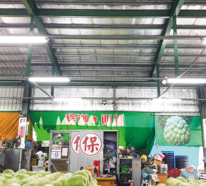 果菜市場鐵皮屋頂隔熱-2